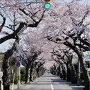 牡丹江旅游 缩略图 12