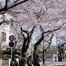 牡丹江旅游 缩略图 13