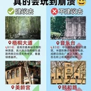 南京旅游 缩略图 1