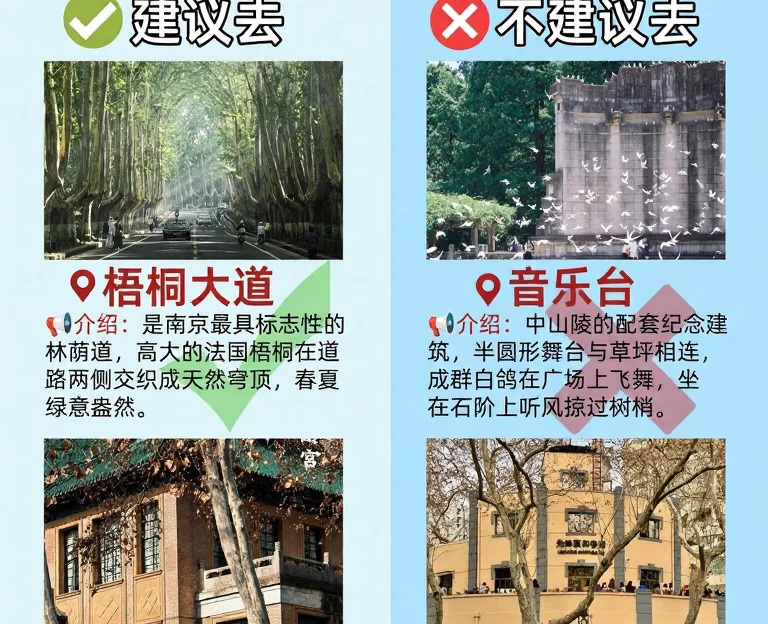 南京旅游 1