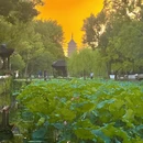 苏州旅游 缩略图 8
