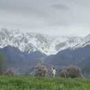 林芝旅游 缩略图 1