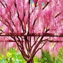 北京旅游 缩略图 13