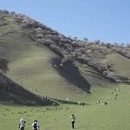 乌鲁木齐旅游 缩略图 9