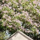 北京旅游 缩略图 13