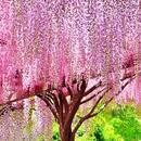 北京旅游 缩略图 8