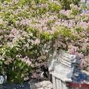北京旅游 缩略图 12