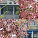 大连旅游 缩略图 18