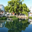 苏州旅游 缩略图 11