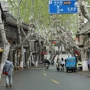 镇江旅游 缩略图 18