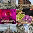 上海旅游 缩略图 2