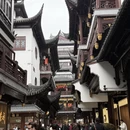 上海旅游 缩略图 3