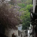 镇江旅游 缩略图 13