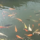 苏州旅游 缩略图 16