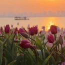 苏州旅游 缩略图 5