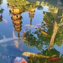 苏州旅游 缩略图 11