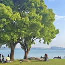 苏州旅游 缩略图 1
