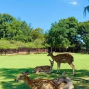 南京旅游 缩略图 2