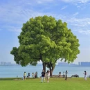 苏州旅游 缩略图 4