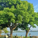 苏州旅游 缩略图 5
