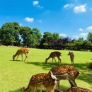 南京旅游 缩略图 7