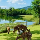 南京旅游 缩略图 6
