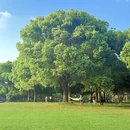 苏州旅游 缩略图 12