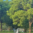 苏州旅游 缩略图 11