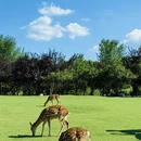 南京旅游 缩略图 4