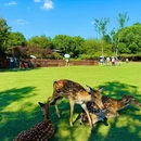 南京旅游 缩略图 3