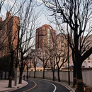 上海旅游 缩略图 9