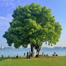 苏州旅游 缩略图 3