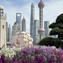上海旅游 缩略图 14