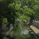 苏州旅游 缩略图 15
