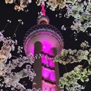 上海旅游 缩略图 15