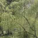 南京旅游 缩略图 5