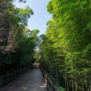 常州旅游 缩略图 4