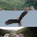 无锡旅游 缩略图 16