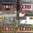 扬州旅游 缩略图 3