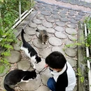淮安旅游 缩略图 7