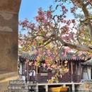 苏州旅游 缩略图 6