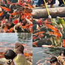 南京旅游 缩略图 4