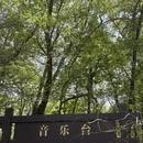 南京旅游 缩略图 6