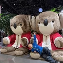 苏州旅游 缩略图 6