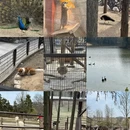 南京旅游 缩略图 6