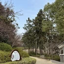 南京旅游 缩略图 15