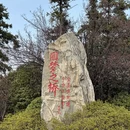 南京旅游 缩略图 13