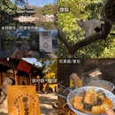 苏州旅游 缩略图 10