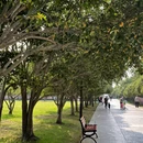 苏州旅游 缩略图 12