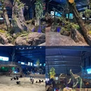 南京旅游 缩略图 8